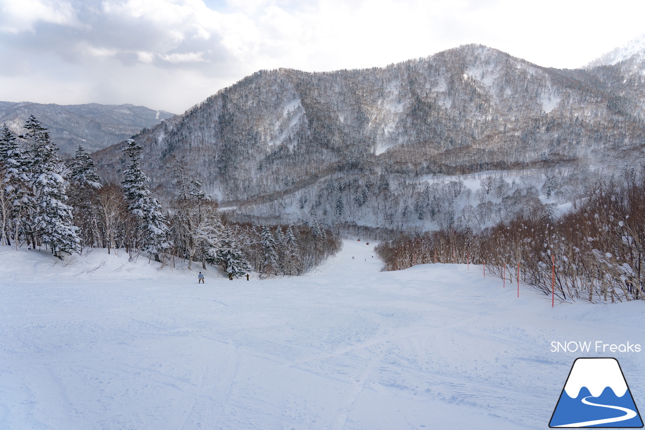 札幌国際スキー場｜３月の平日。粉雪コンディション、ゴンドラ＆リフト待ち無し、もちろん、ゲレンデも混雑無し。要するに、最高です(^_-)-☆